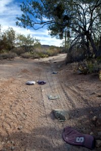 Sonoran Desert National Monument photo