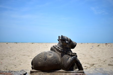 Dhanushkodi