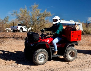 Ironwood Forest National Monument photo