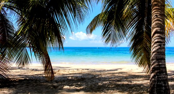 Beach view