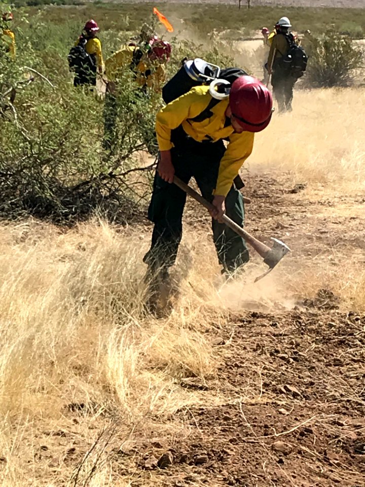 Wildland firefighters for the Gila District