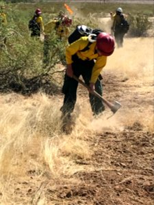 Wildland firefighters for the Gila District