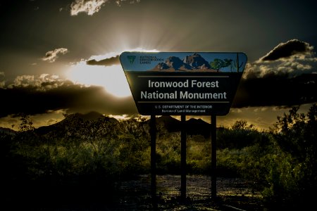 Ironwood Forest National Monument