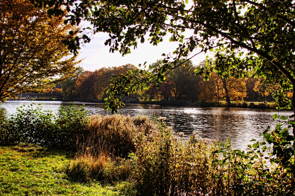 Autumn lake nature