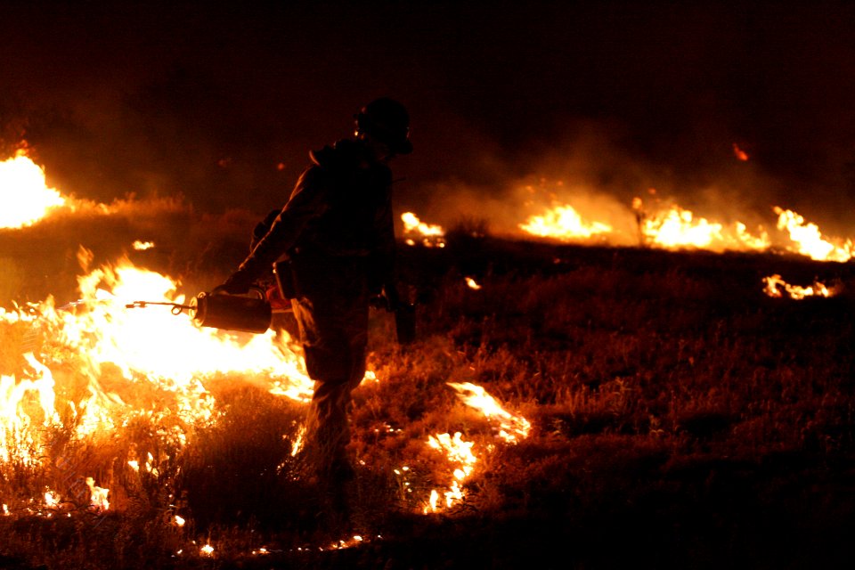 Prescribed fire on the Agua Fria National Monument