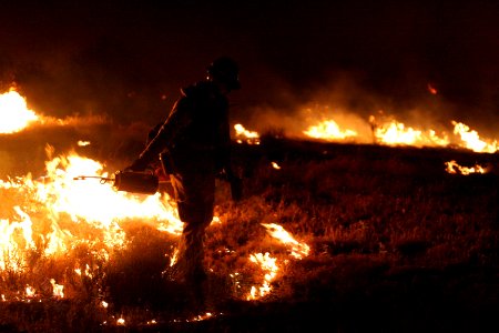 Prescribed fire on the Agua Fria National Monument