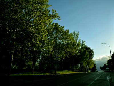 Barrio del Pilar, Madrid photo