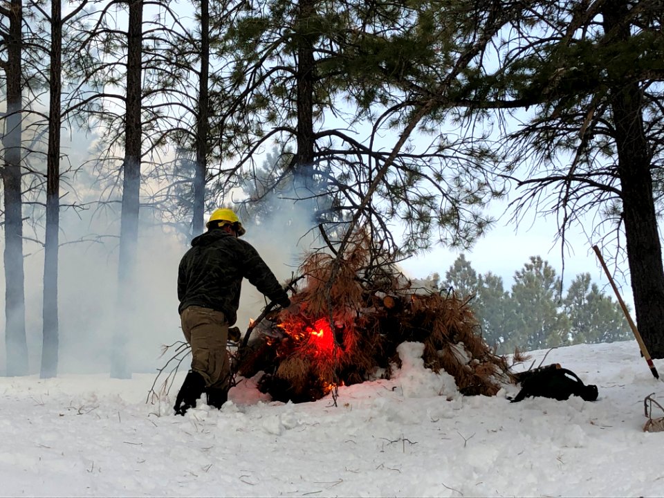 Presribed fire in Hualapai Mountains