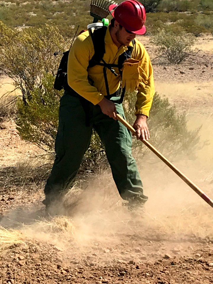 Wildland firefighters for the Gila District