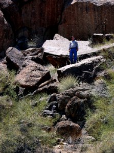 Sonoran Desert National Monument photo