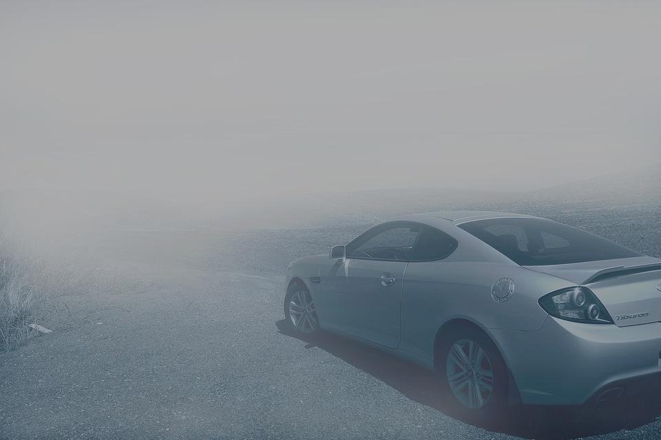 Mist weather outdoors