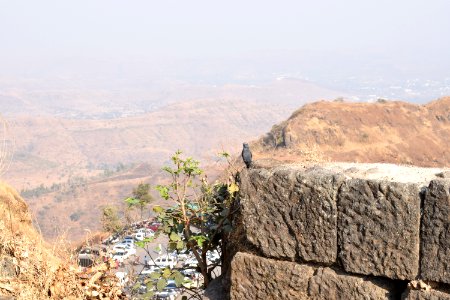 Sinhagad fort Pune Maharashtra