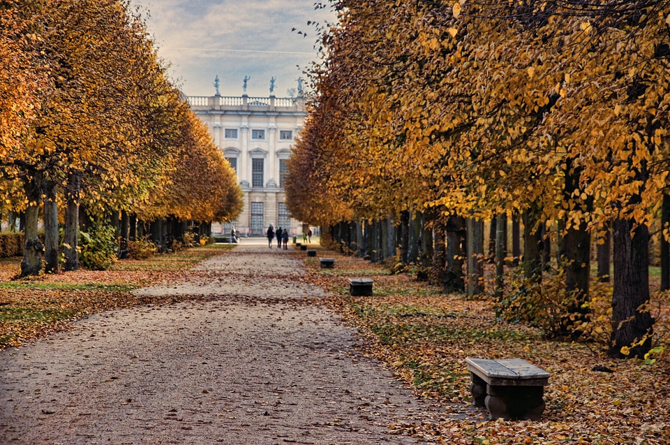 Autumn schlossgarten castle
