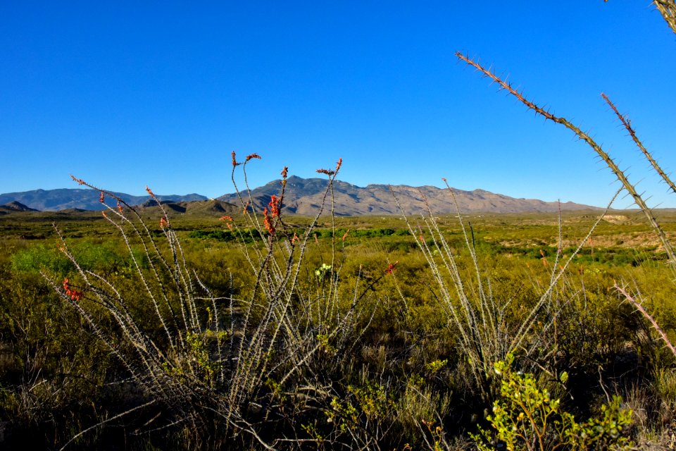 Arizona National Scenic Trail