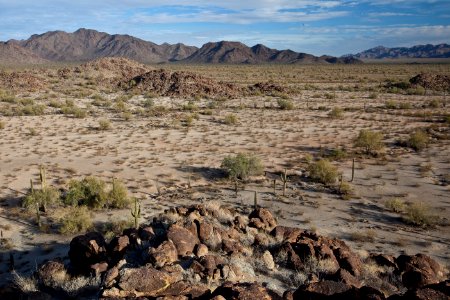 Sonoran Desert National Monument photo