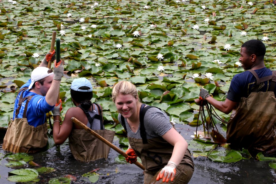 Kenilworth Aquatic Gardens