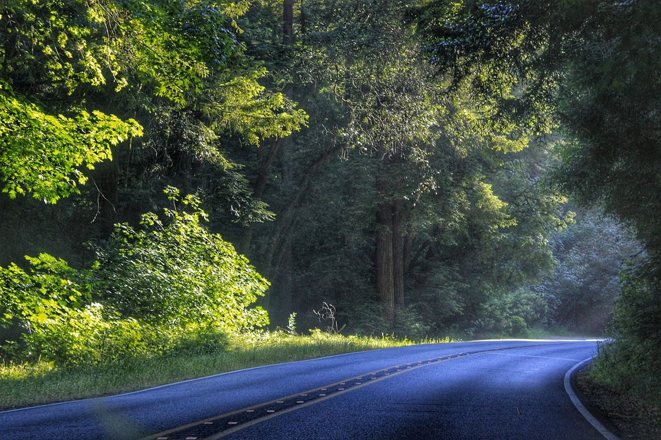 Road travel lush photo