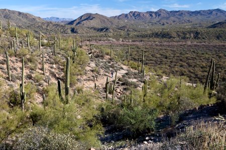 Arizona National Scenic Trail