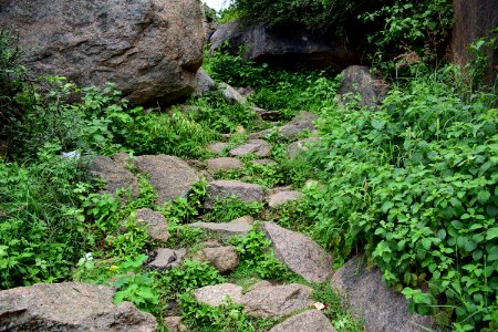 Nijagal hills Karnataka