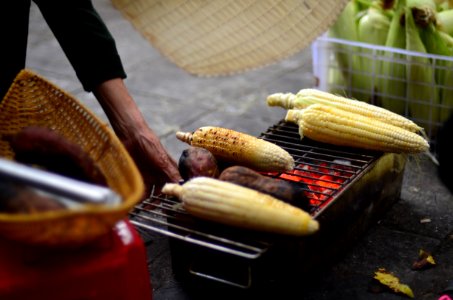 Maize on fire