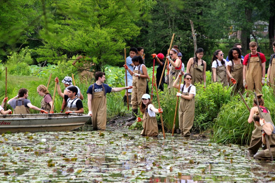 Kenilworth Aquatic Gardens