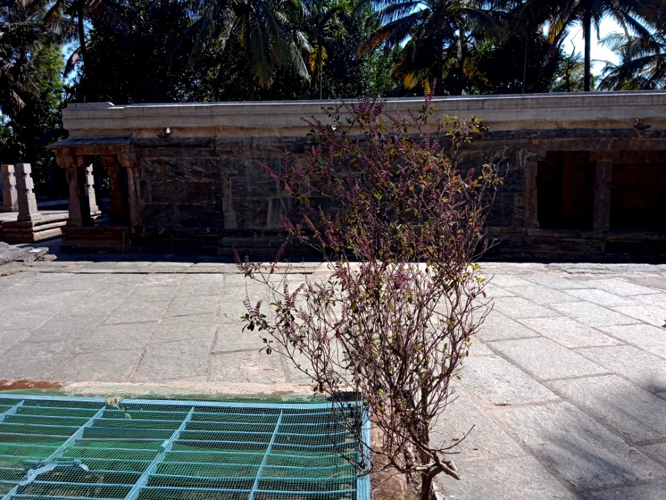 Jain Temple Sulthan Bathery Kerala