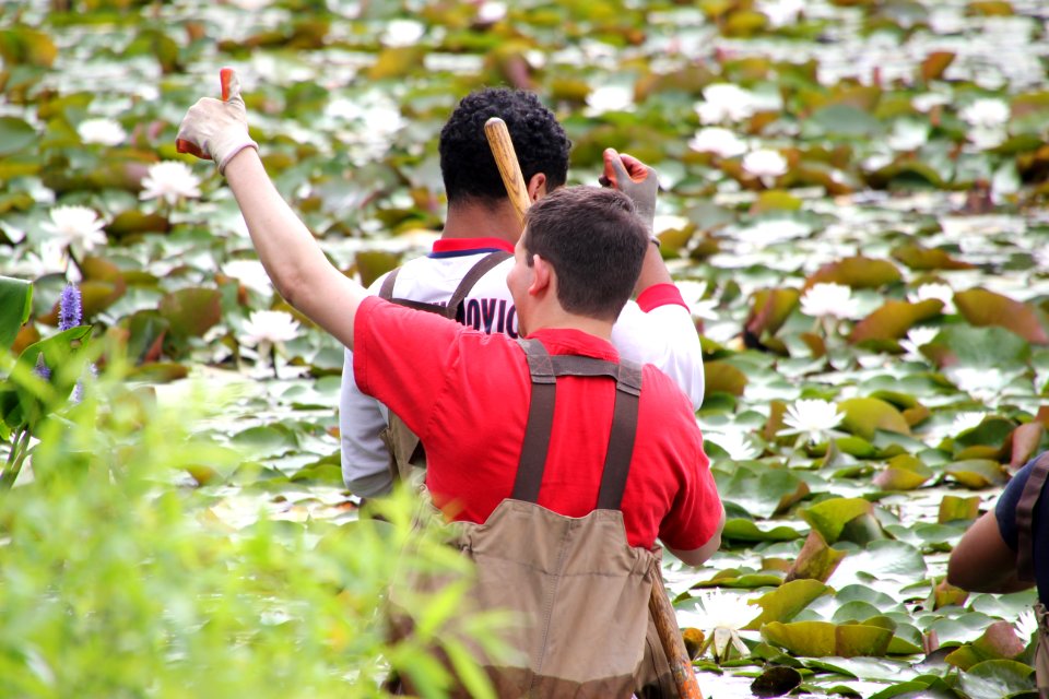 Kenilworth Aquatic Gardens