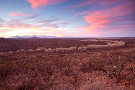 San Pedro Riparian National Conservation Area