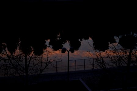 Cielo rosado