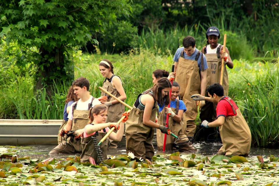 Kenilworth Aquatic Gardens