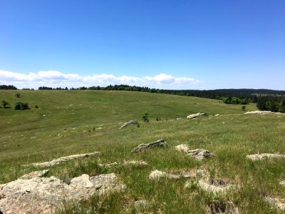 Stoney Point by Melissa Dempsey
