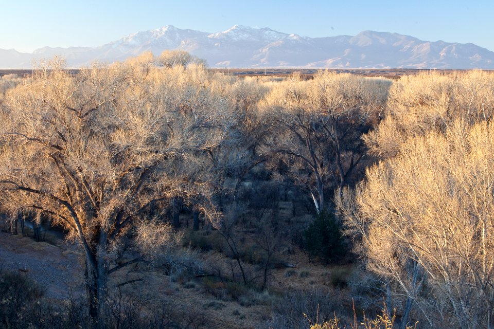 San Pedro Riparian National Conservation Area