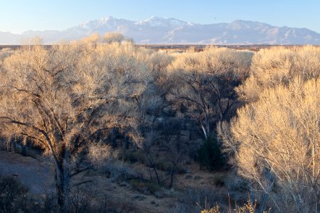 San Pedro Riparian National Conservation Area