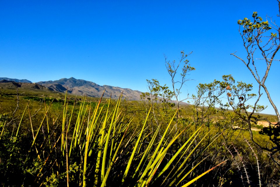 Arizona National Scenic Trail