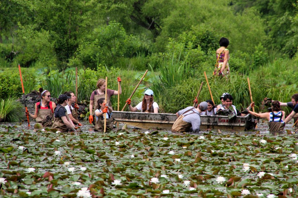 Kenilworth Aquatic Gardens