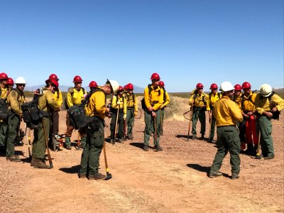 Wildland firefighters for the Gila District