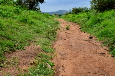 Nijagal hills Karnataka