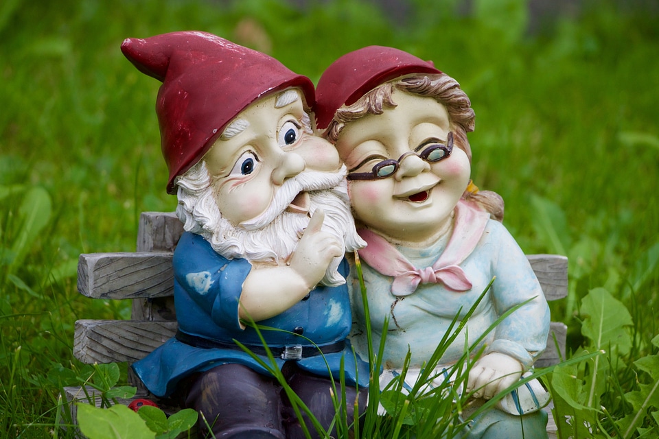 Dwarf pair fun funny
