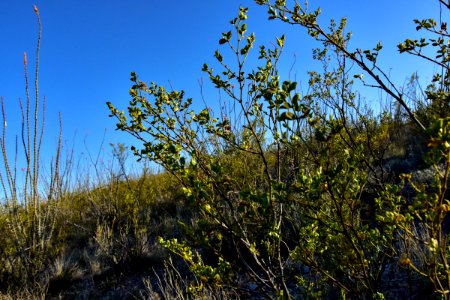 Arizona National Scenic Trail