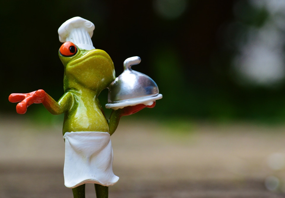 Kitchen gourmet food