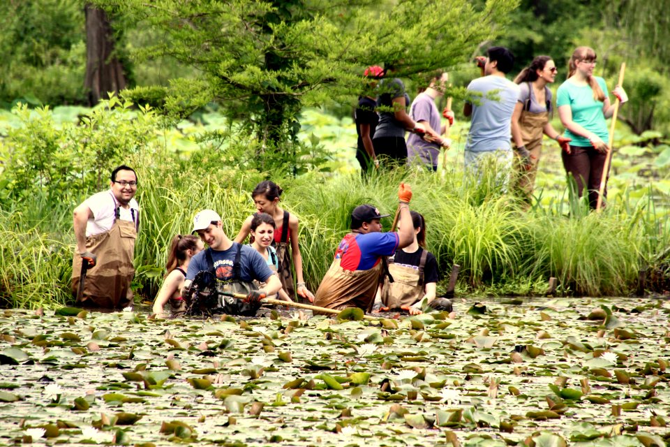Kenilworth Aquatic Gardens