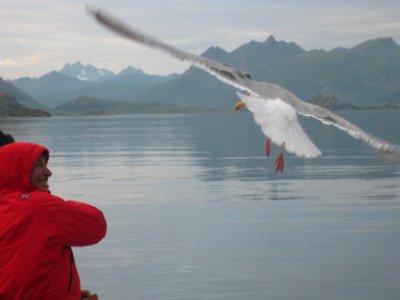 Norvegia - Isole Lofoten Luglio 2011