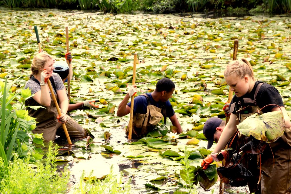 Kenilworth Aquatic Gardens