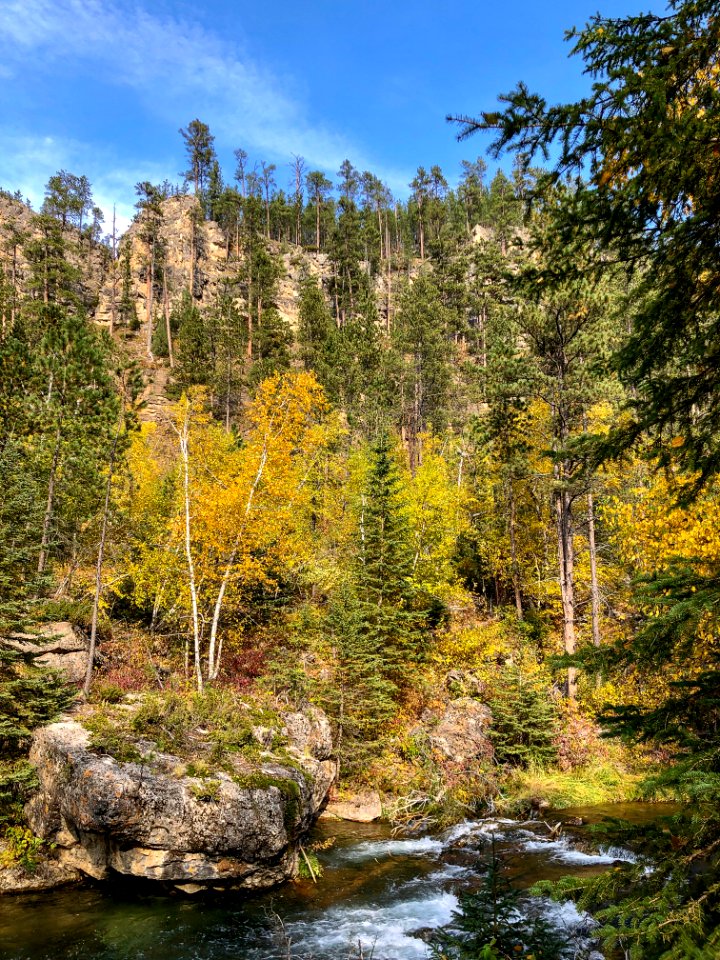 Spearfish Canyon Fall Colors