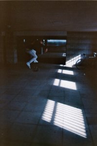Luis | Treflip