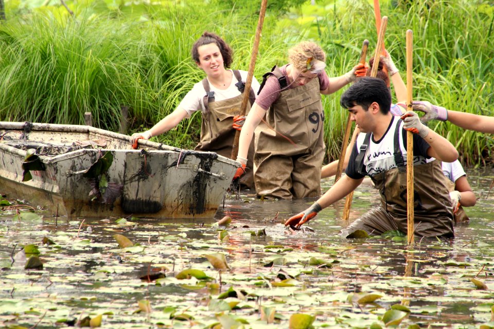 Kenilworth Aquatic Gardens