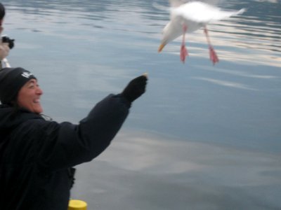 Norvegia - Isole Lofoten Luglio 2011