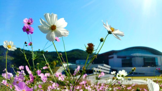 September 29, 2018 wave in the wind (breeze)