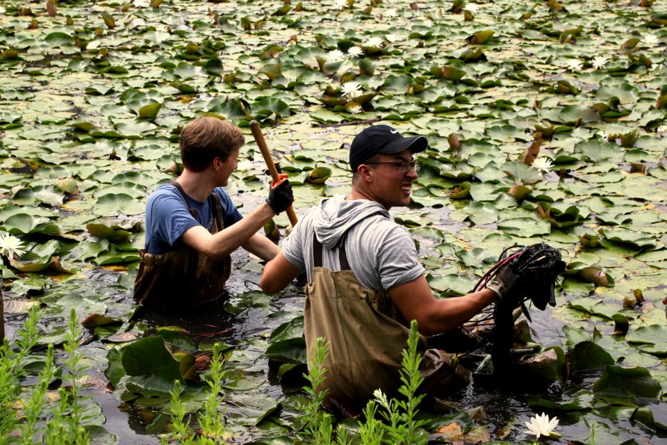 Kenilworth Aquatic Gardens