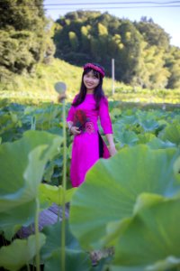 binh003